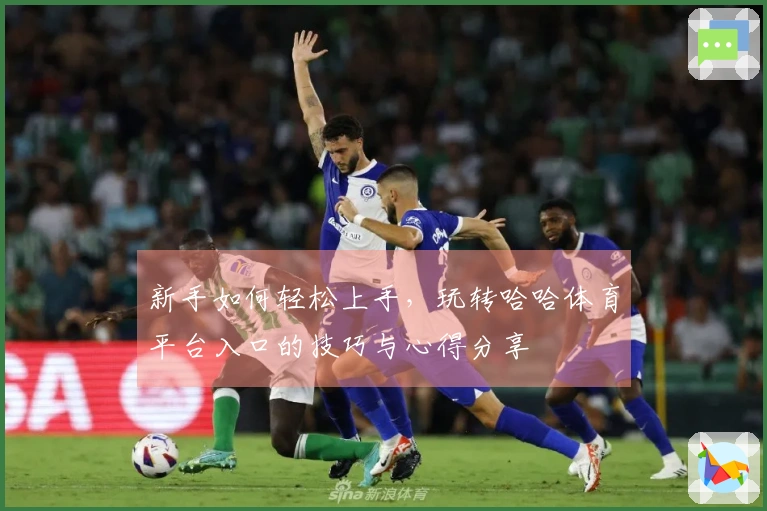 新手如何轻松上手，玩转哈哈体育平台入口的技巧与心得分享