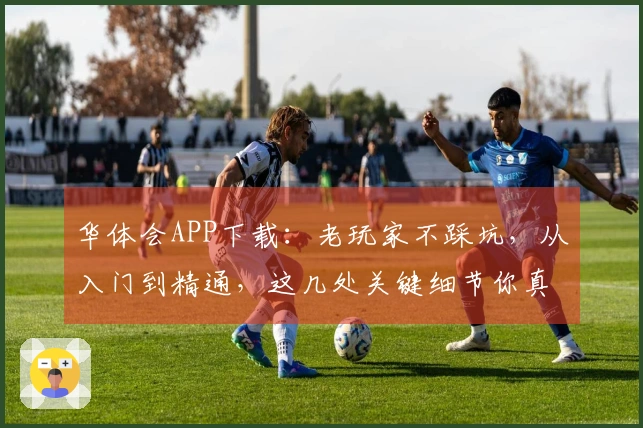 华体会APP下载：老玩家不踩坑，从入门到精通，这几处关键细节你真得知道