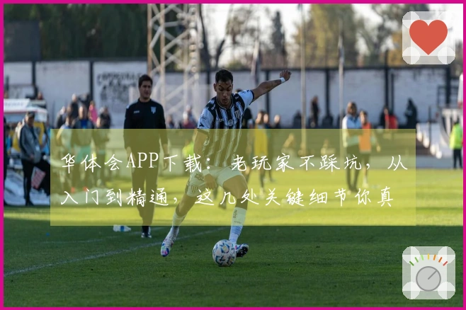 华体会APP下载：老玩家不踩坑，从入门到精通，这几处关键细节你真得知道